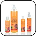 Shampoo & Lotion