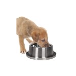 KARLIE FLAMINGO Napf KUHL 16 cm 820 ml für heiße Tage für Hunde
