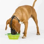 TRIXIE Maulkorb MUZZLE FLEX Silikon L-XL schwarz für Hunde (Berner Sennenhund)