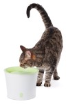 HAGEN Zubehör CATIT Trinkbrunnen 3 Liter grün für Katzen und kleine Hunde