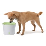 HAGEN Zubehör CATIT Trinkbrunnen 3 Liter grün für Katzen und kleine Hunde
