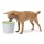 HAGEN Zubehör CATIT Trinkbrunnen 3 Liter grün für Katzen und kleine Hunde