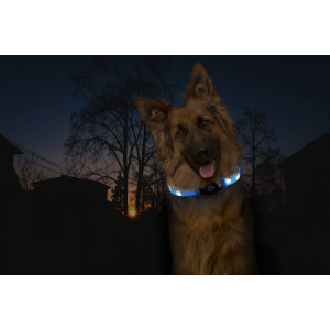 KARLIE Leuchtschlauch LED-VISIO Light Langhaar über USB-Kabel ladbar für Hunde Orange