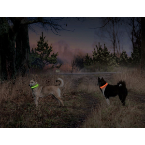 KARLIE Leuchtschlauch LED-VISIO Light Langhaar über USB-Kabel ladbar für Hunde Orange