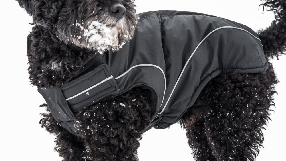 DOGBITE Winterjacke MATT FexibleSystem schwarz Mantel für Hunde fu