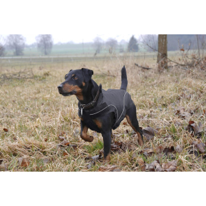 DOGBITE Regenjacke MATT Fexible-System schwarz Mantel für Hunde 35cm