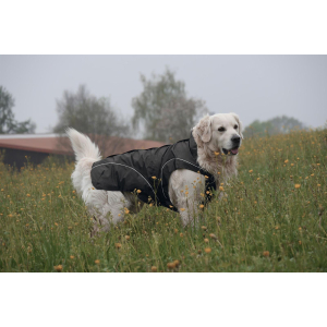 DOGBITE Regenjacke MATT Fexible-System schwarz Mantel für Hunde 50cm