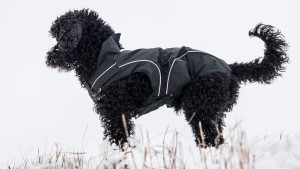 DOGBITE Hunderegenjacke MATT Fexible-System schwarz Mantel für Hunde 65cm