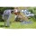 CHUCKIT Spielzeug ULTRA Squeaker Ball für Hunde medium Ø 6cm