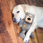 KONG® Spielzeug KONG DOG Plüsch WILD KNOTS strapazierfähig BÄR für Hunde