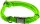 DINOLEINE Halsband KLICK-HALSBAND Polyester 11mm Größe S/30-45 cm für Hunde