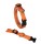 KOCH Halsband KLICK-HALSBAND UNI 15mm 25-35cm gepolstert für Hunde