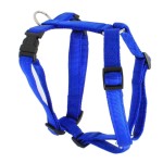 KOCH Geschirr NYLON-GESCHIRR UNI 15mm 38-49cm gepolstert für Hunde