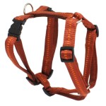 KOCH Geschirr NYLONGESCHIRR mit Kennfäden 25mm 86-125cm gepolstert für Hunde