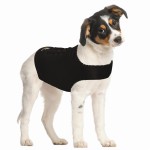 ZENPET Anziehen ZENDOG COMPRESSION SHIRT schwarz für...