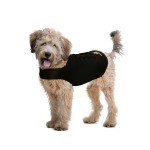ZENPET Anziehen ZENDOG COMPRESSION SHIRT schwarz für...