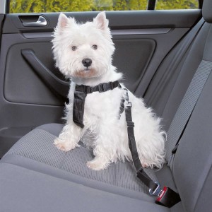TRIXIE Transport AUTO-GESCHIRR schwarz versch. Größen für Hunde