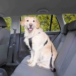 TRIXIE Transport AUTO-GESCHIRR schwarz versch. Größen für Hunde