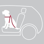 TRIXIE Transport AUTO-GESCHIRR schwarz versch. Größen für Hunde