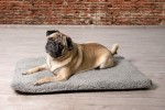 BEEZTEES Liegekissen ITO Memory Foam grau oder beige für Hunde