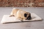 BEEZTEES Liegekissen ITO Memory Foam grau oder beige für Hunde