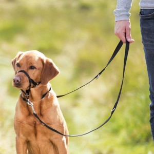 TRIXIE Erziehung Top Trainer Trainingsgeschirr schwarz versch. Größen für Hunde