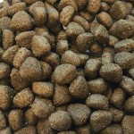 CRAZYPET® Trockenfutter Super Premium LAMM mit Reis für erwachsene Hunde 2,0 kg