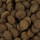 CARNILOVE Trockenfutter TRUE FRESH Senior/Healthy Weight Fresh Chicken für Hunde