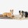 KNAUDERS BEST Liegedecke Easy Travel Pad 100/200 cm x 70cm Polyester für Hunde