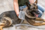 TRIXIE Hundepflege Schermaschinenset mit Fellsauger Netzkabel viele Aufsätze