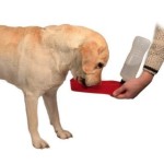 TRIXIE Hundezubehör Flasche mit Trinknapf Wasserspendender Kunststoff