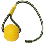 FUTTERSCHEUNE.COM® Hundespielzeug SCHAUMSTOFFBALL...