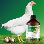 RÖHNFRIED Ergänzungsfuttermittel Hennengold 500ml für Eischalenqualität Geflügel