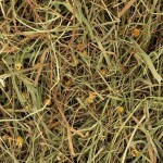 DELI NATURE Kräuter Heu RODELICIOUS verschiedene Sorten 600g für Kleintiere