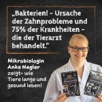 QCHEFS Ergänzungsfuttermittel ZAHNPUTZFLOCKEN 90g gegen Zahnstein für Hunde