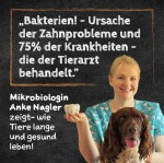 QCHEFS Ergänzungsfuttermittel ZAHNPUTZFLOCKEN 90g gegen Zahnstein für Hunde