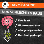 QCHEFS Ergänzungsfuttermittel ZAHNPUTZKOHLE 80g Zähne sauber & Darm gesund Hund