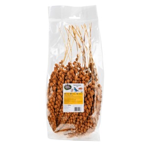 LANDPARTIE Einzelfuttermittel Kolbenhirse ROT 500g für Ziervögel und Nager