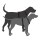 KOCH Hundegeschirr Premium NYLONGESCHIRR WM 2026 Limited Edition gepolstert