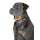 KARLIE Maulkorb NYLON schwarz für Hunde Gr. 0 (10cm)