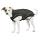 DOGBITE Regenjacke FLEXIBLE SYSTEM Schwarz Mantel für Hunde