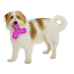 KARLIE Spielzeug GOOD4FUN Frisbee Star für Hunde