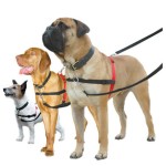 HALTI Erziehungshilfe HALTI HARNESS Nylonbrustgeschirr für Hunde