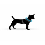 CURLI Brustgeschirr Plush Basic AIR-MESH black für Hunde XS (14 - 18cm)