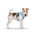 CURLI Brustgeschirr Plush Basic AIR-MESH skyblue für Hunde XS (14 - 18cm)