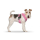 CURLI Brustgeschirr Plush Basic AIR-MESH pink für Hunde
