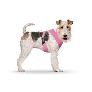 CURLI Brustgeschirr Plush Basic AIR-MESH pink für Hunde M (25 - 30cm)