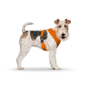 CURLI Brustgeschirr Plush Basic AIR-MESH orange für Hunde