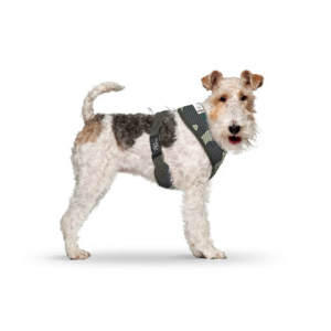 CURLI Brustgeschirr Plush Basic AIR-MESH camouflage für Hunde XS (14 - 18cm)