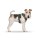 CURLI Brustgeschirr Plush Basic AIR-MESH camouflage für Hunde XS (14 - 18cm)